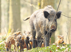 information_items_70938