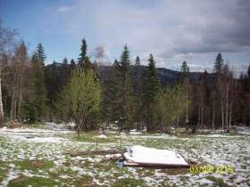 information_items_152