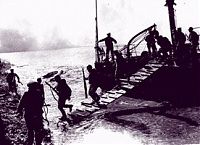 information_items_64288