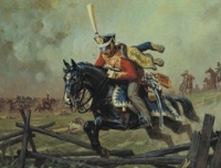 information_items_49068