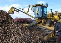 information_items_49133