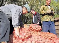 information_items_64278