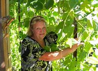 information_items_64281