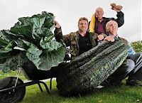 information_items_64282