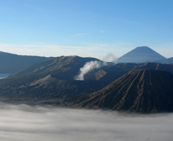 information_items_71469