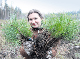 information_items_71736