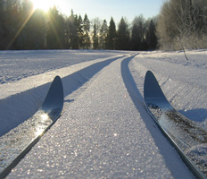 information_items_71738