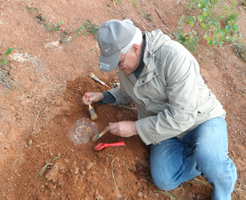 information_items_10107916