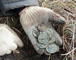 information_items_10108043