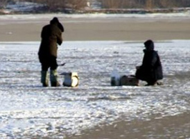 information_items_10108053