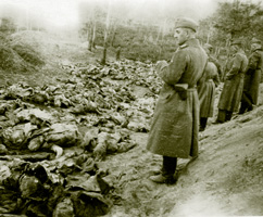 information_items_10108086