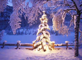 information_items_10108565