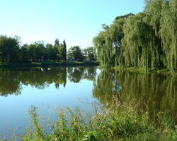 information_items_10108708