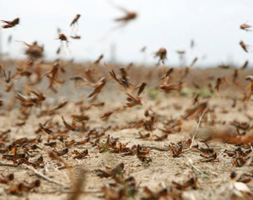 information_items_10091106