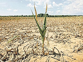 information_items_10096876