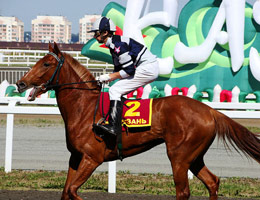 information_items_10098198