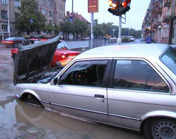 information_items_10098701