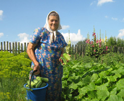 information_items_10099306