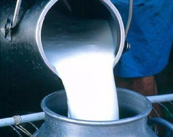 information_items_10101977