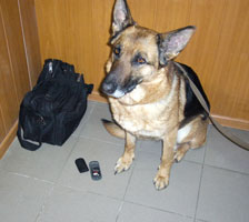 information_items_10109689