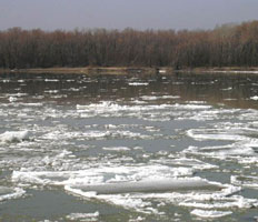 information_items_10109948