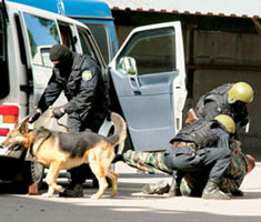 information_items_10110609