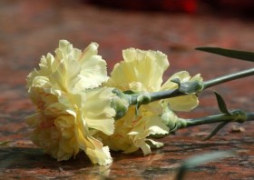 information_items_10110622