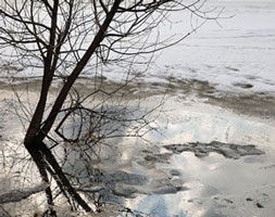 information_items_10110852