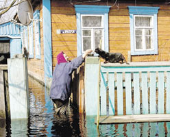 information_items_10110867