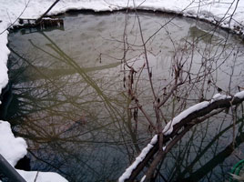 information_items_10110929