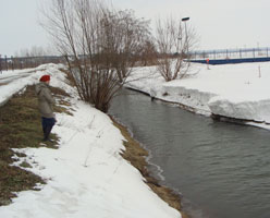 information_items_10110971