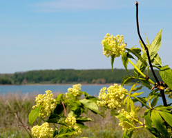 information_items_10111007