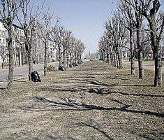 information_items_10111067