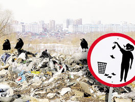 information_items_10111277