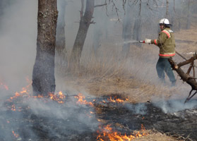 information_items_10111453