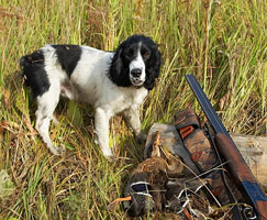 information_items_10111457