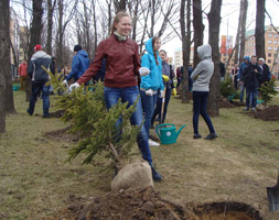 information_items_10111628