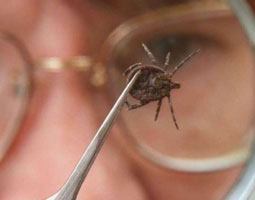 information_items_10111988