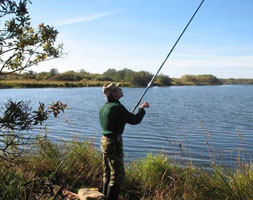 information_items_10112252