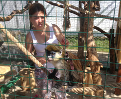 information_items_10112706