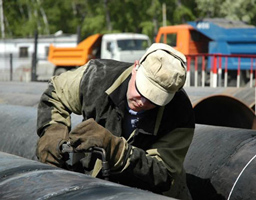 information_items_10113713