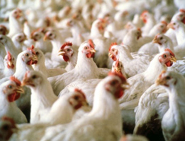 information_items_10123122