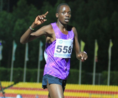 information_items_10123126