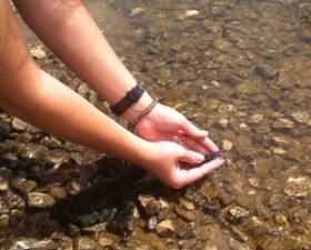 information_items_10123133