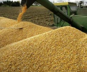 information_items_10123134