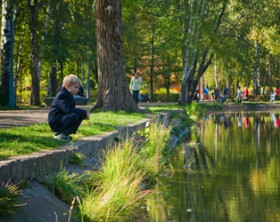 information_items_10123163