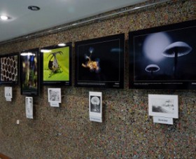 information_items_10123195