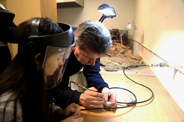 Палеонтология