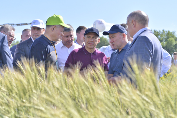 День-поля_Пресс-служба-Президента