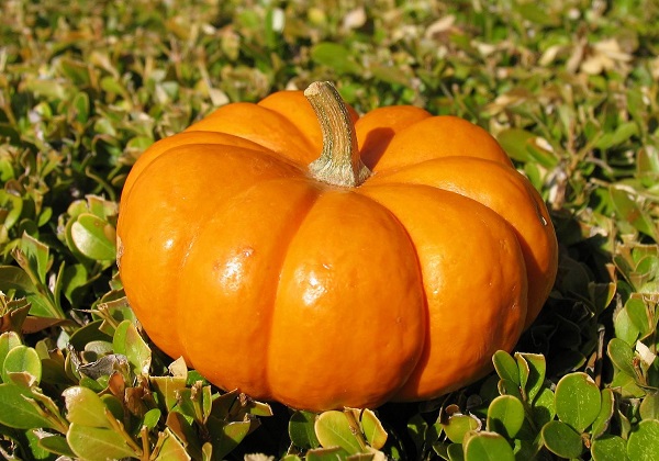 6adeeba52ed579bebb3650f436305b2c